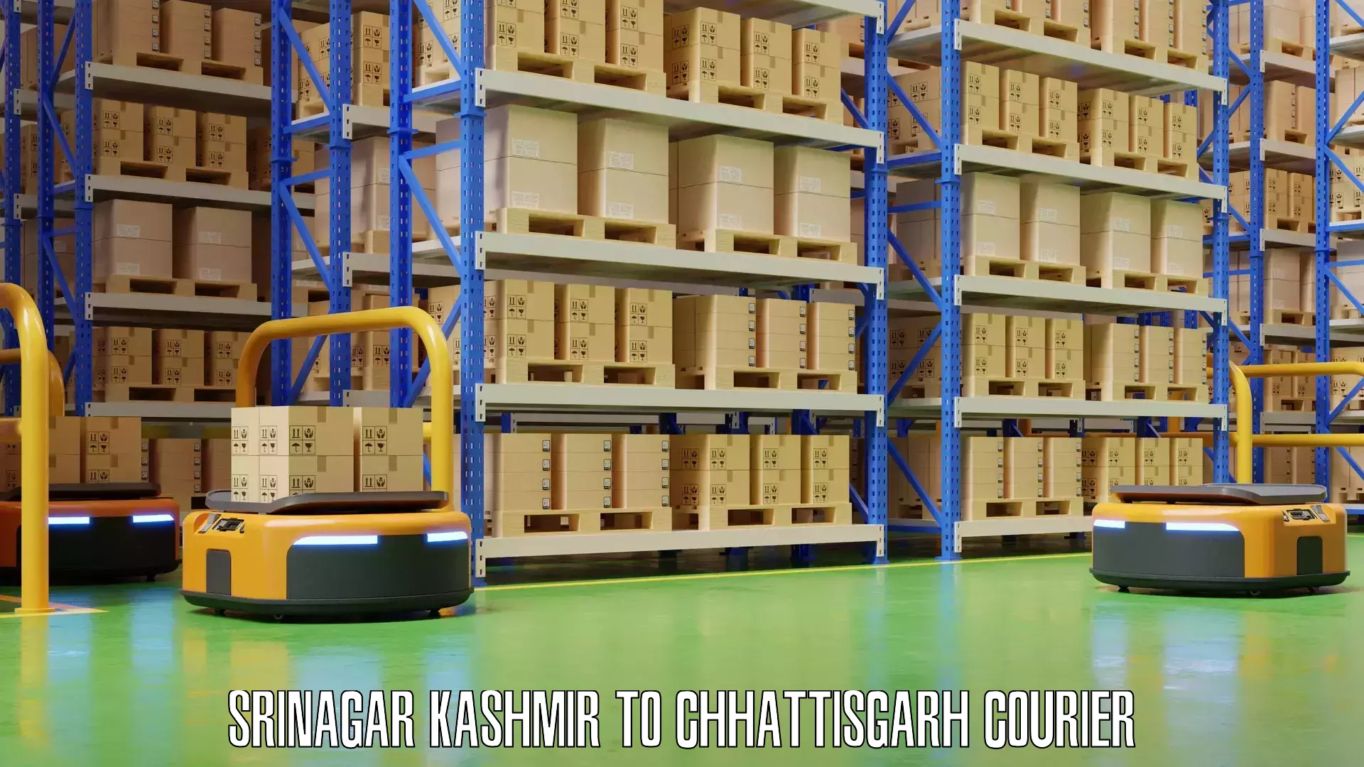 Customized luggage delivery Srinagar Kashmir to Chhattisgarh