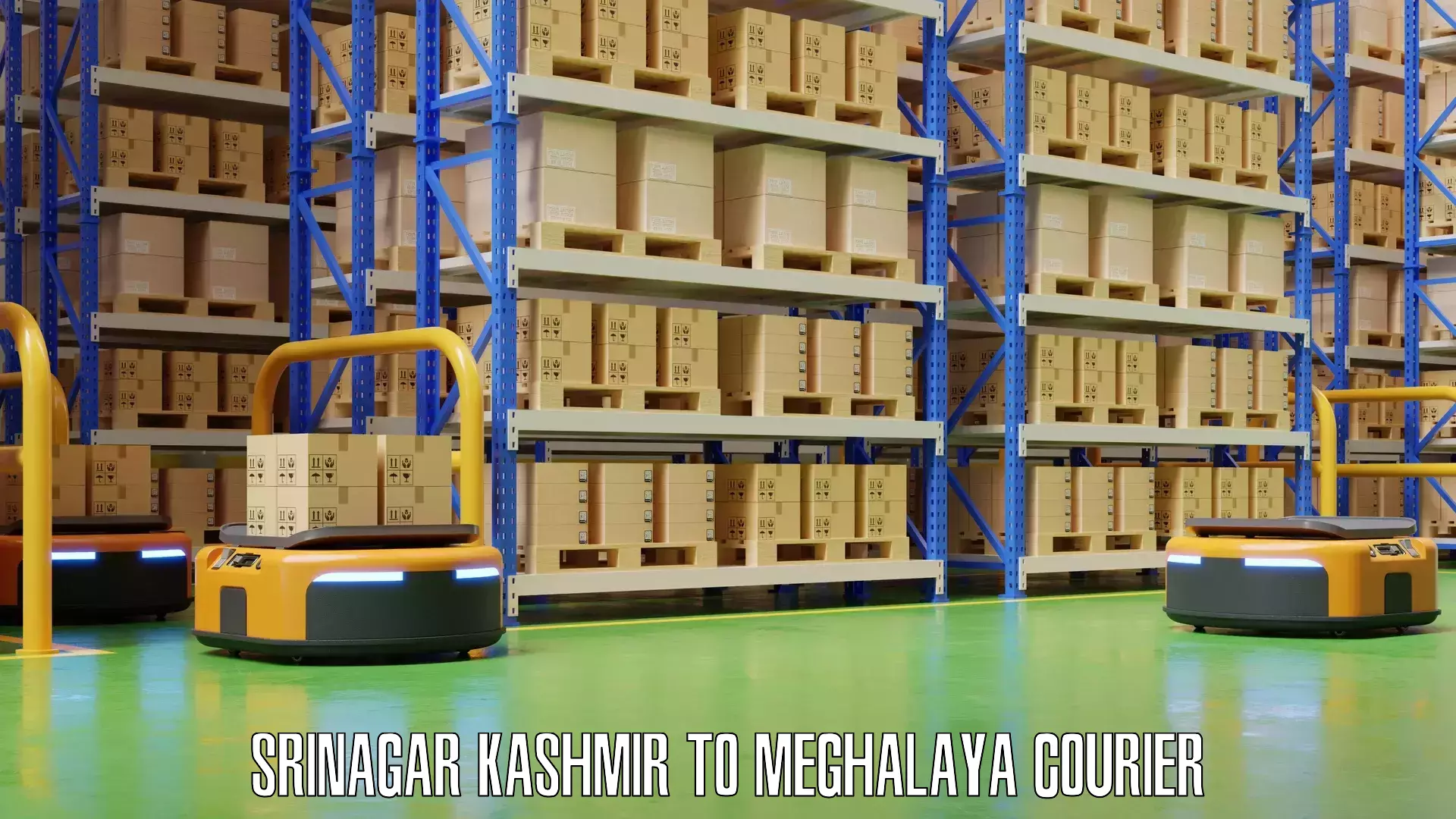 Luggage shipping specialists Srinagar Kashmir to Meghalaya