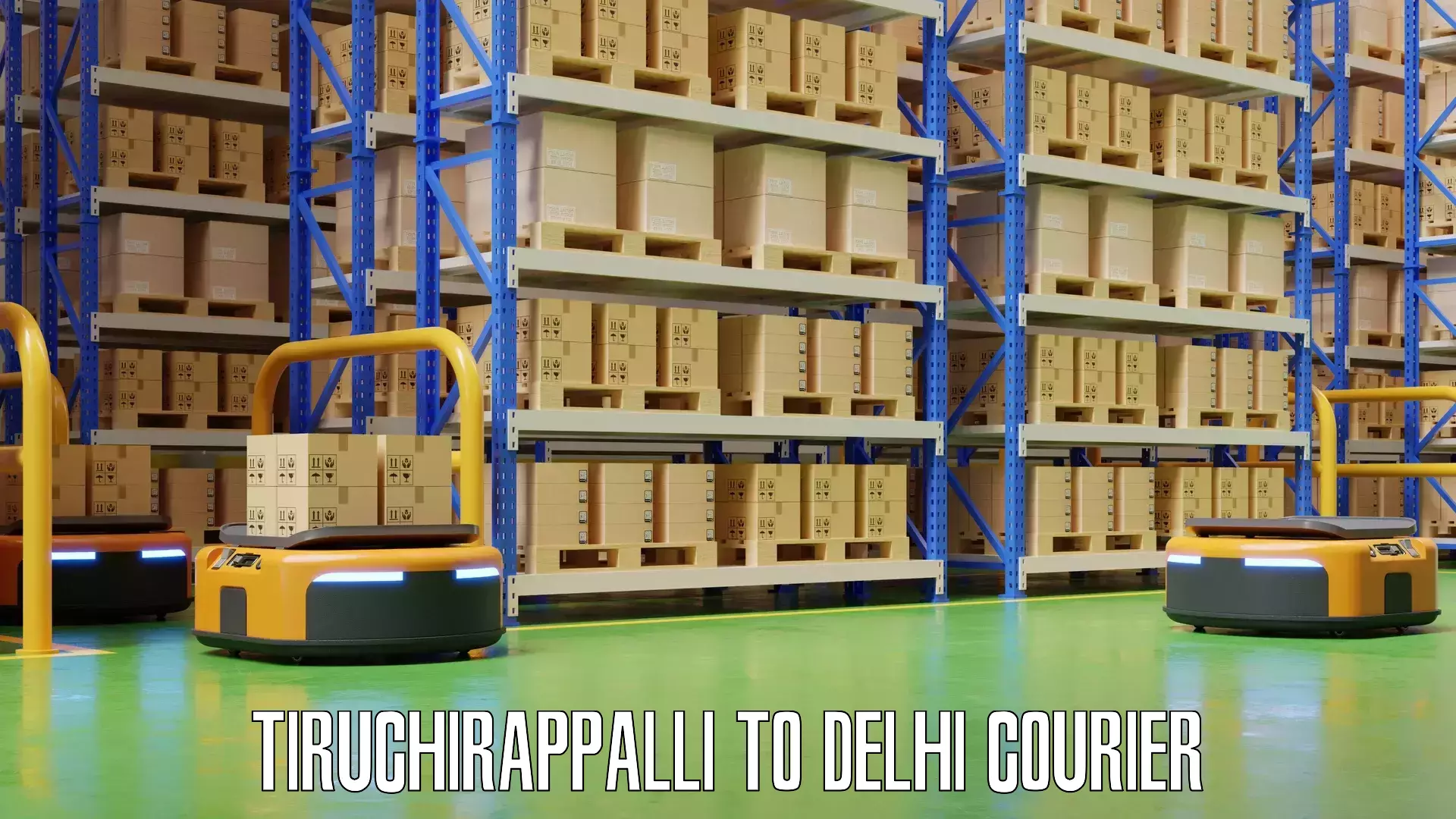 Baggage courier pricing Tiruchirappalli to Jawaharlal Nehru University New Delhi