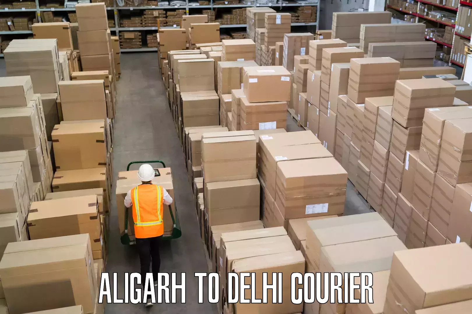 Baggage shipping schedule Aligarh to University of Delhi