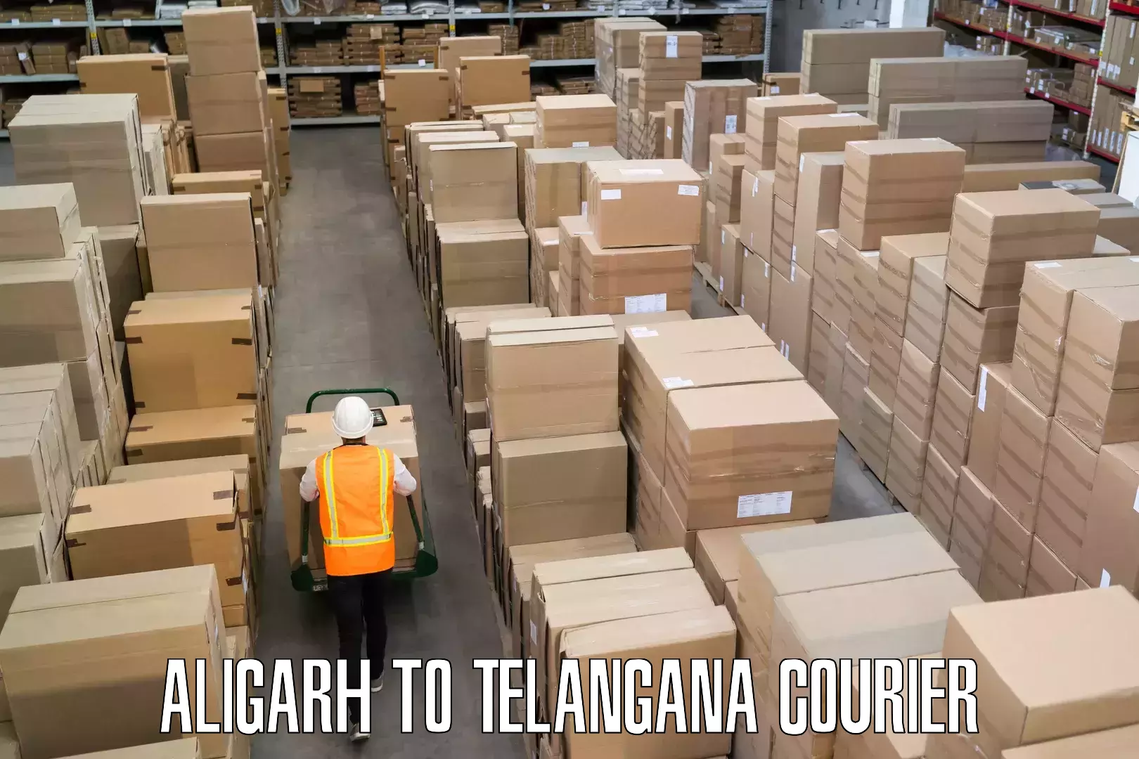 Short distance baggage courier Aligarh to Osmania University Hyderabad