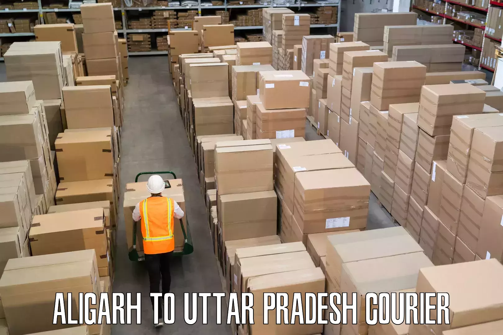 Baggage courier operations Aligarh to Shahjahanpur