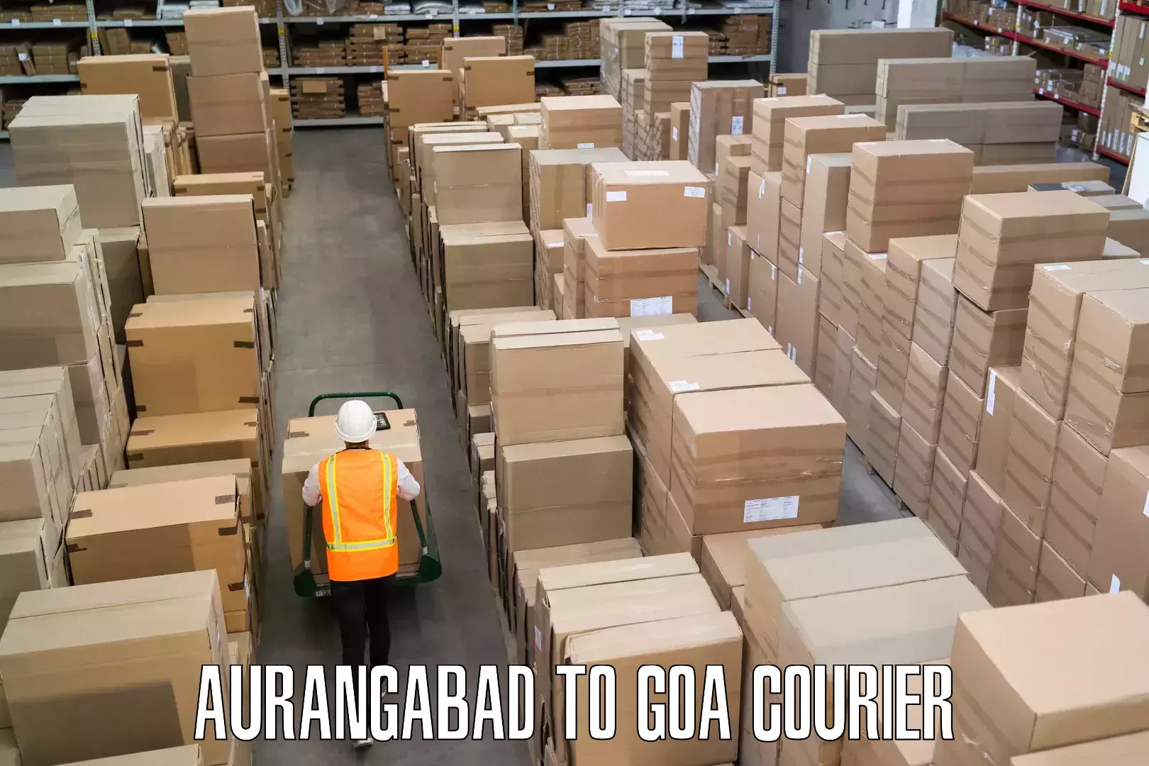 Luggage courier network Aurangabad to Canacona