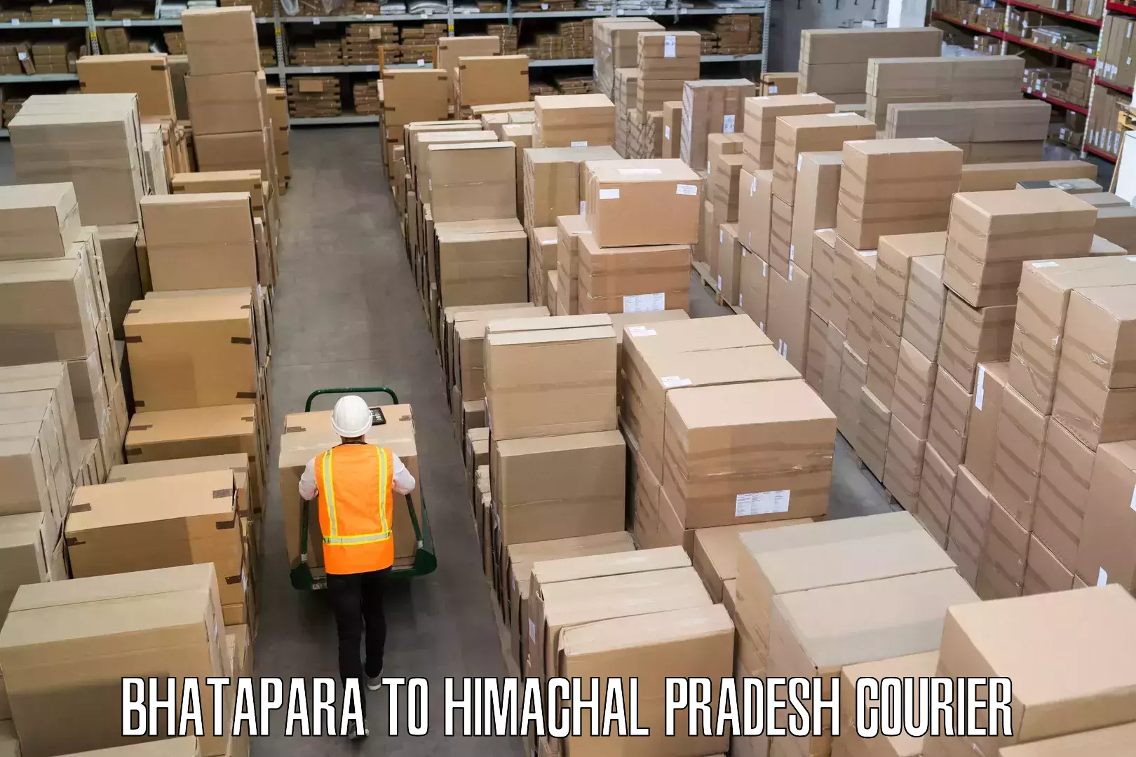 Baggage transport logistics Bhatapara to Kala Amb