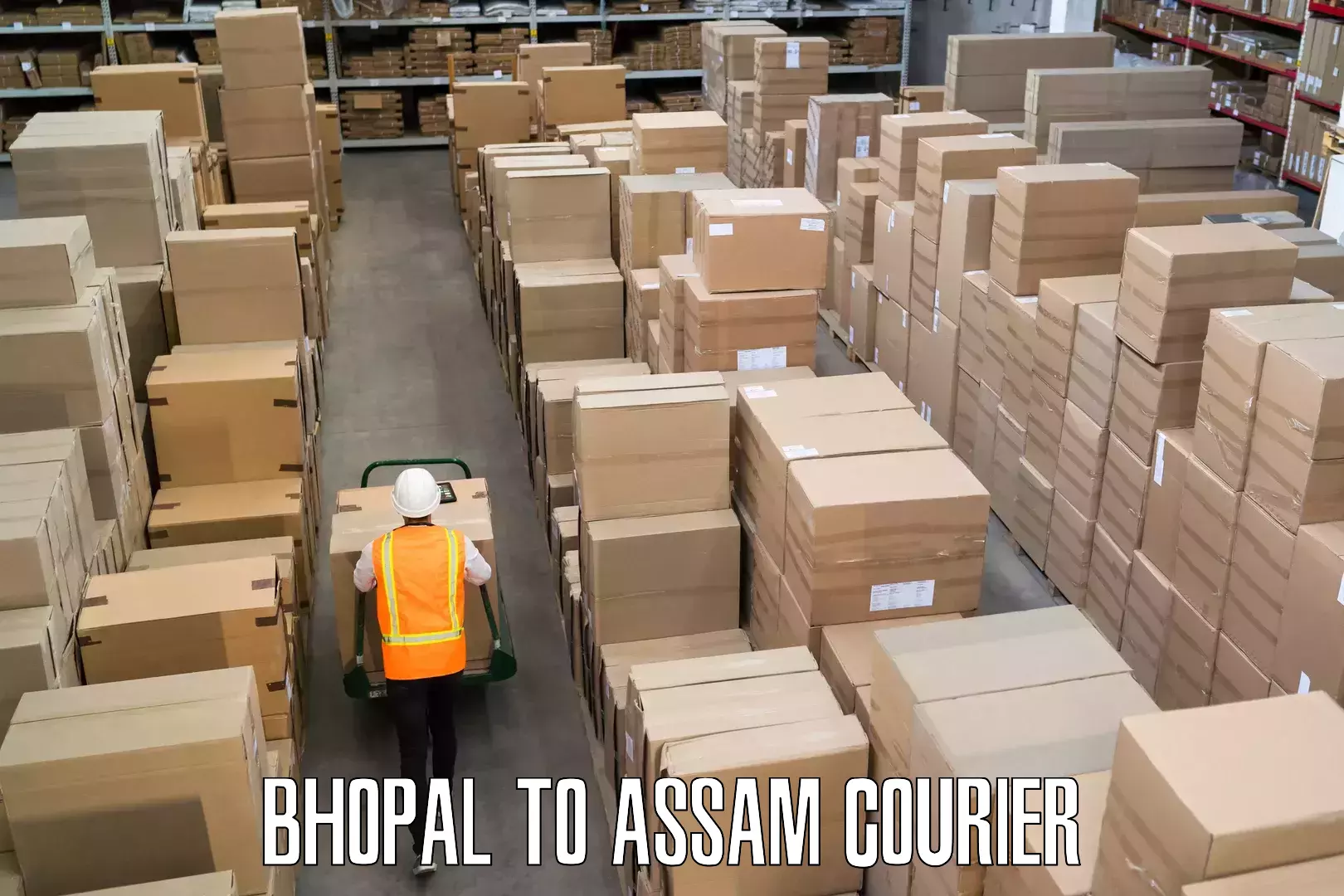 Doorstep luggage collection Bhopal to Assam