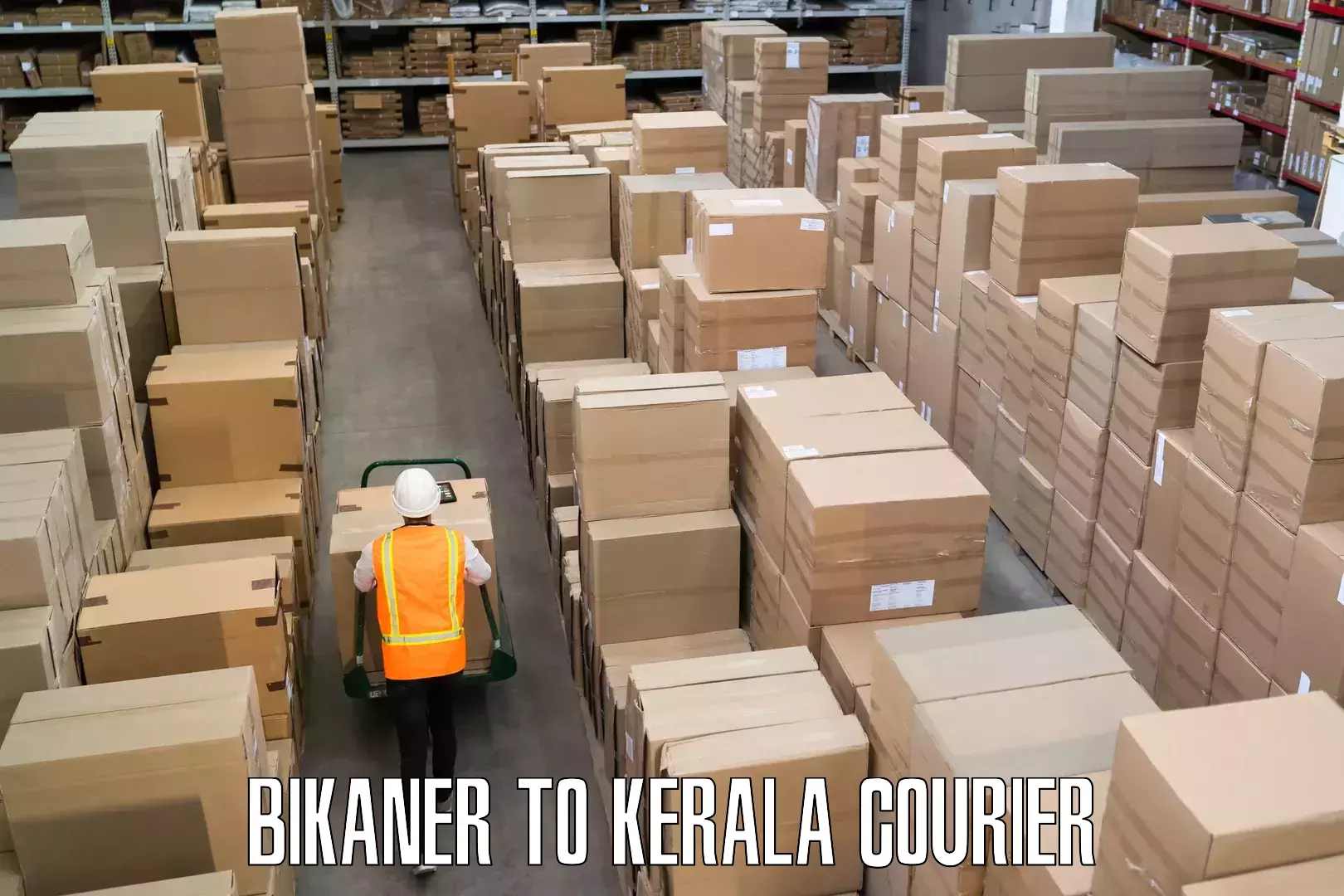 Luggage shipping strategy Bikaner to Chingavanam