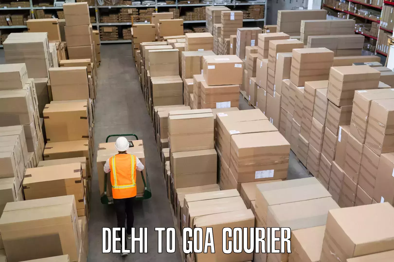 Personal effects shipping in Delhi to Goa
