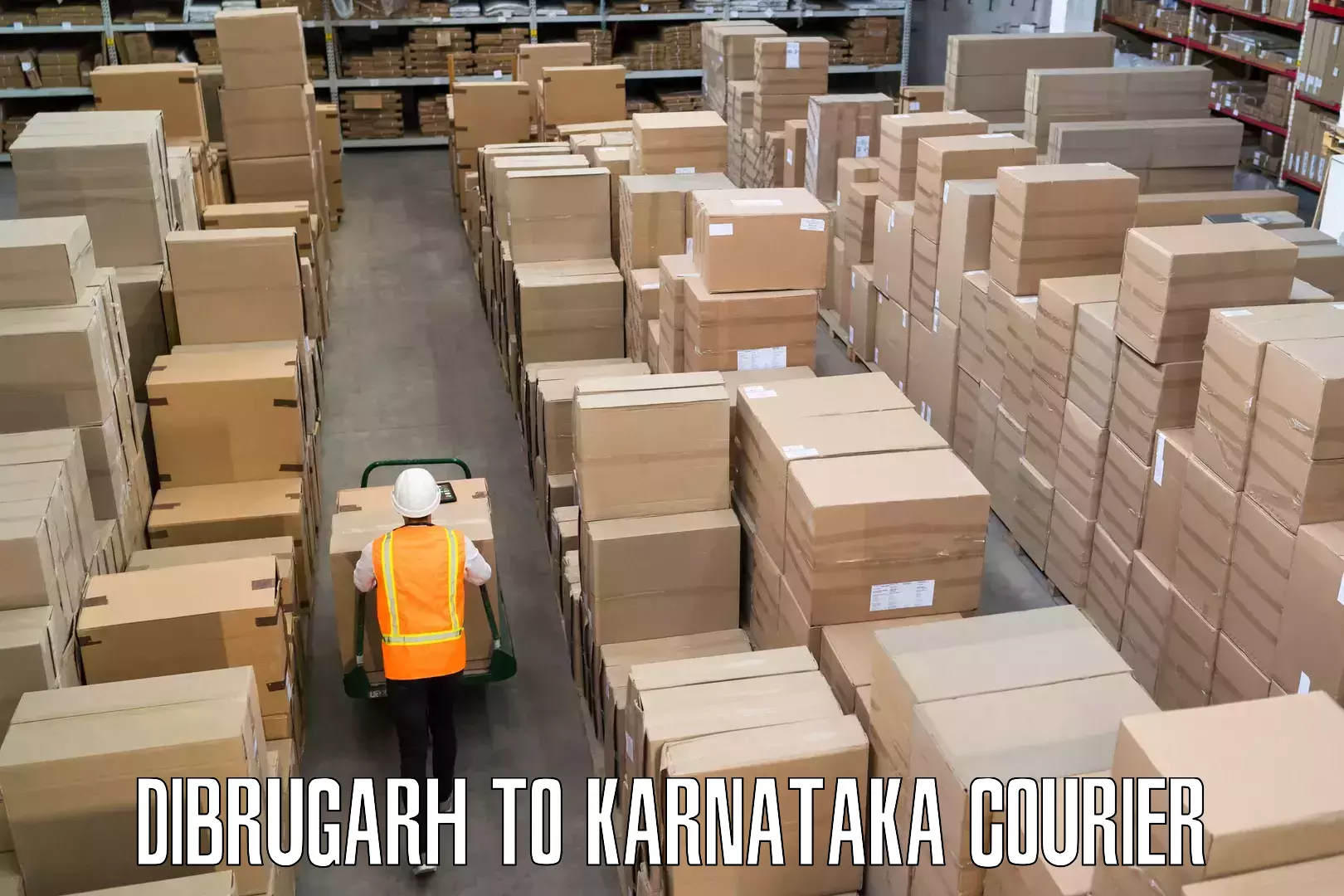 Baggage transport cost Dibrugarh to Karnataka
