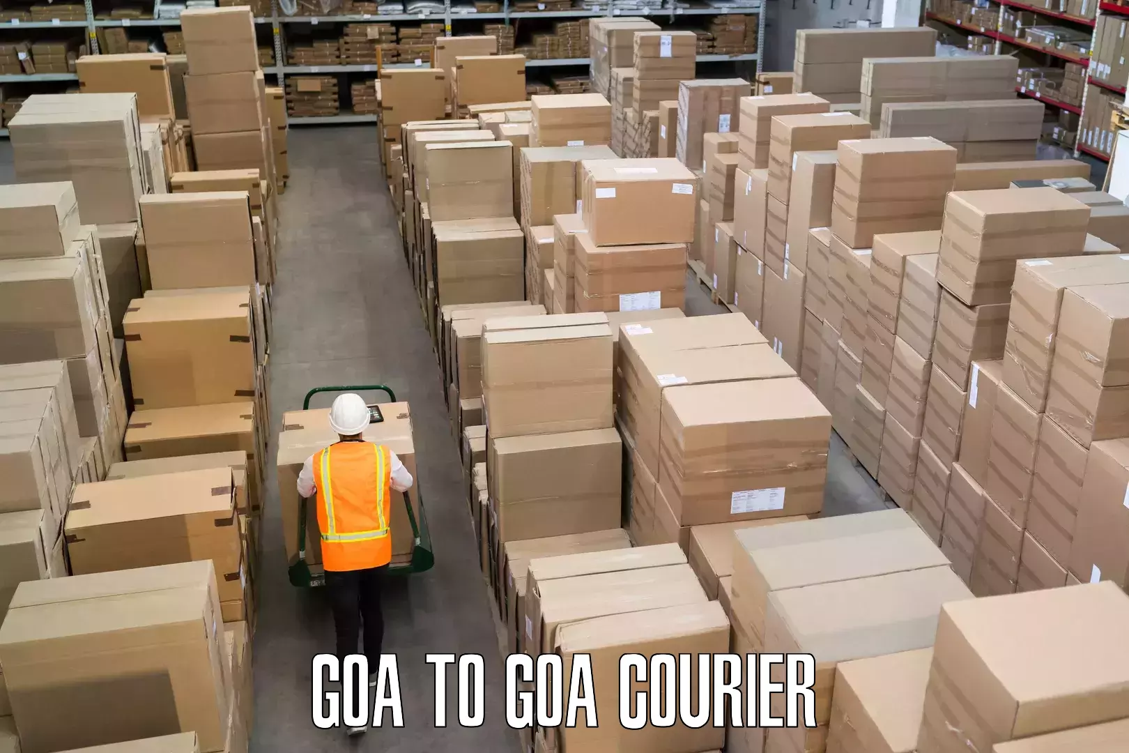 Baggage transport innovation Goa to Goa