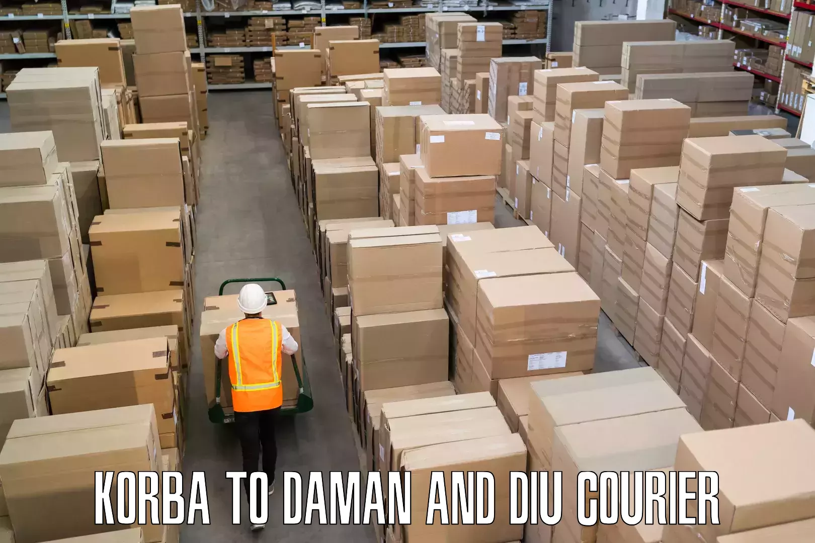 Luggage transport company Korba to Daman and Diu
