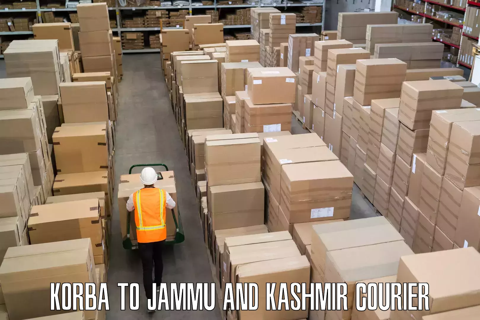 Baggage transport network Korba to Jammu and Kashmir