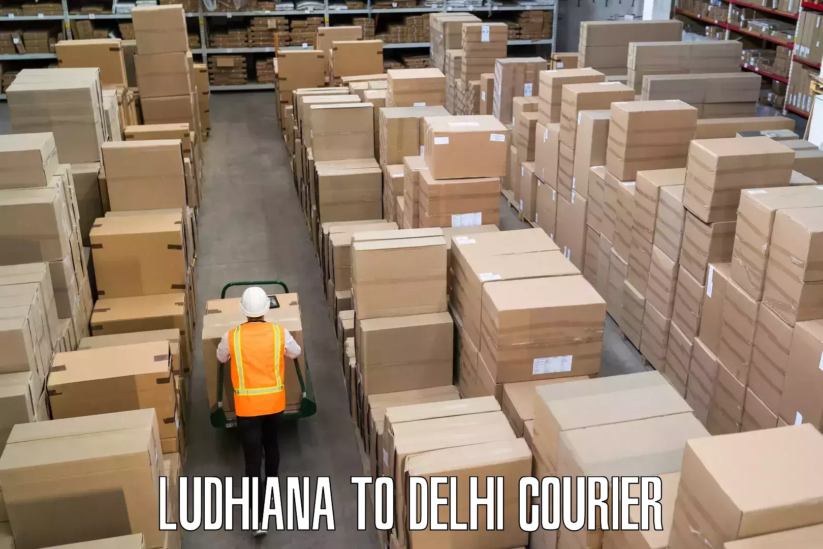 Bulk luggage shipping in Ludhiana to Delhi