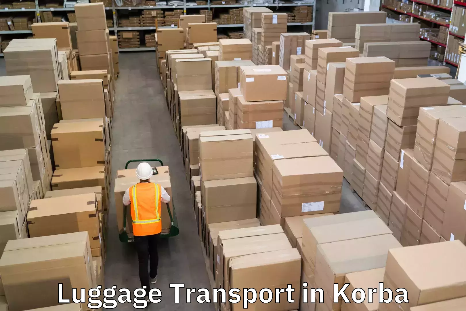 Business luggage transport in Korba