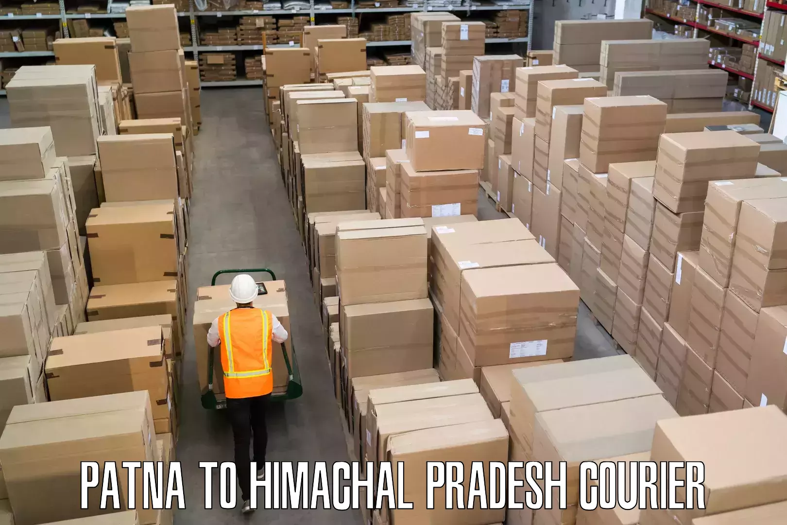 Baggage shipping schedule Patna to Hamirpur Himachal