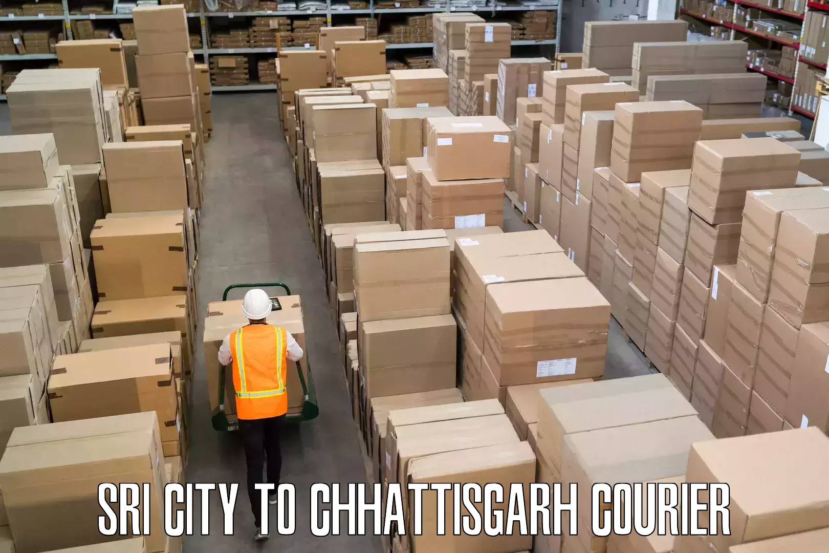 Luggage shipment processing Sri City to Kawardha