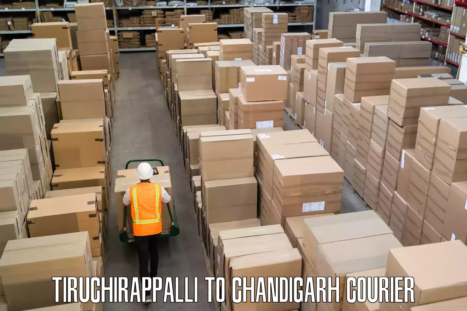 Baggage courier service Tiruchirappalli to Panjab University Chandigarh