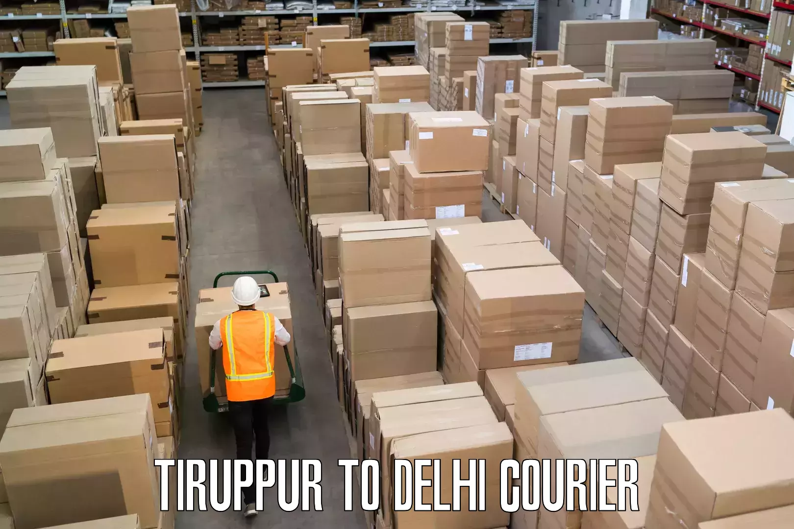 Luggage shipment strategy Tiruppur to IIT Delhi