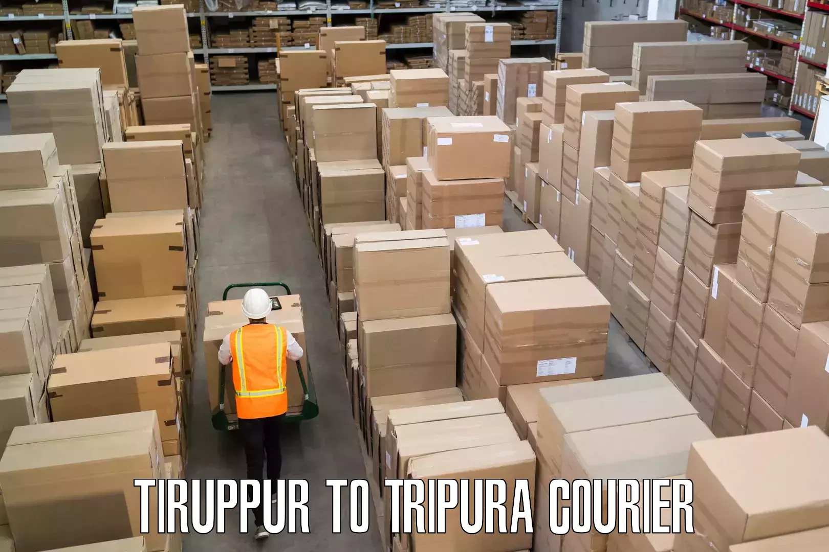 Express baggage shipping in Tiruppur to Tripura