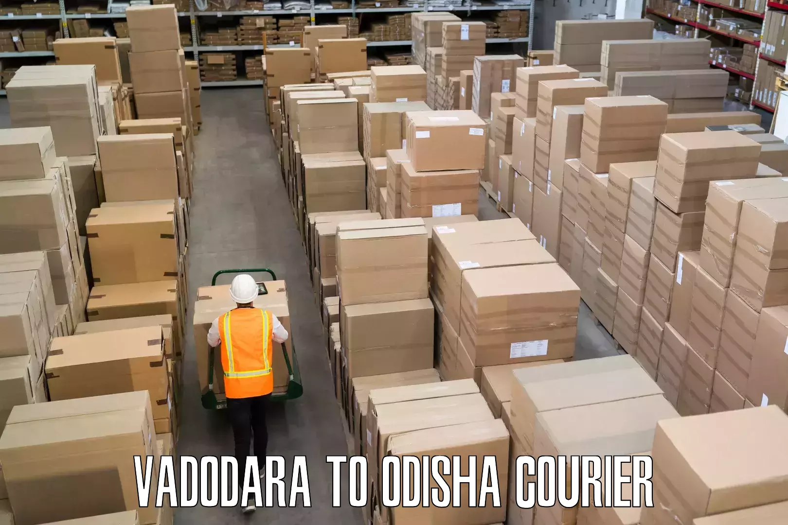 Baggage shipping optimization Vadodara to Odisha