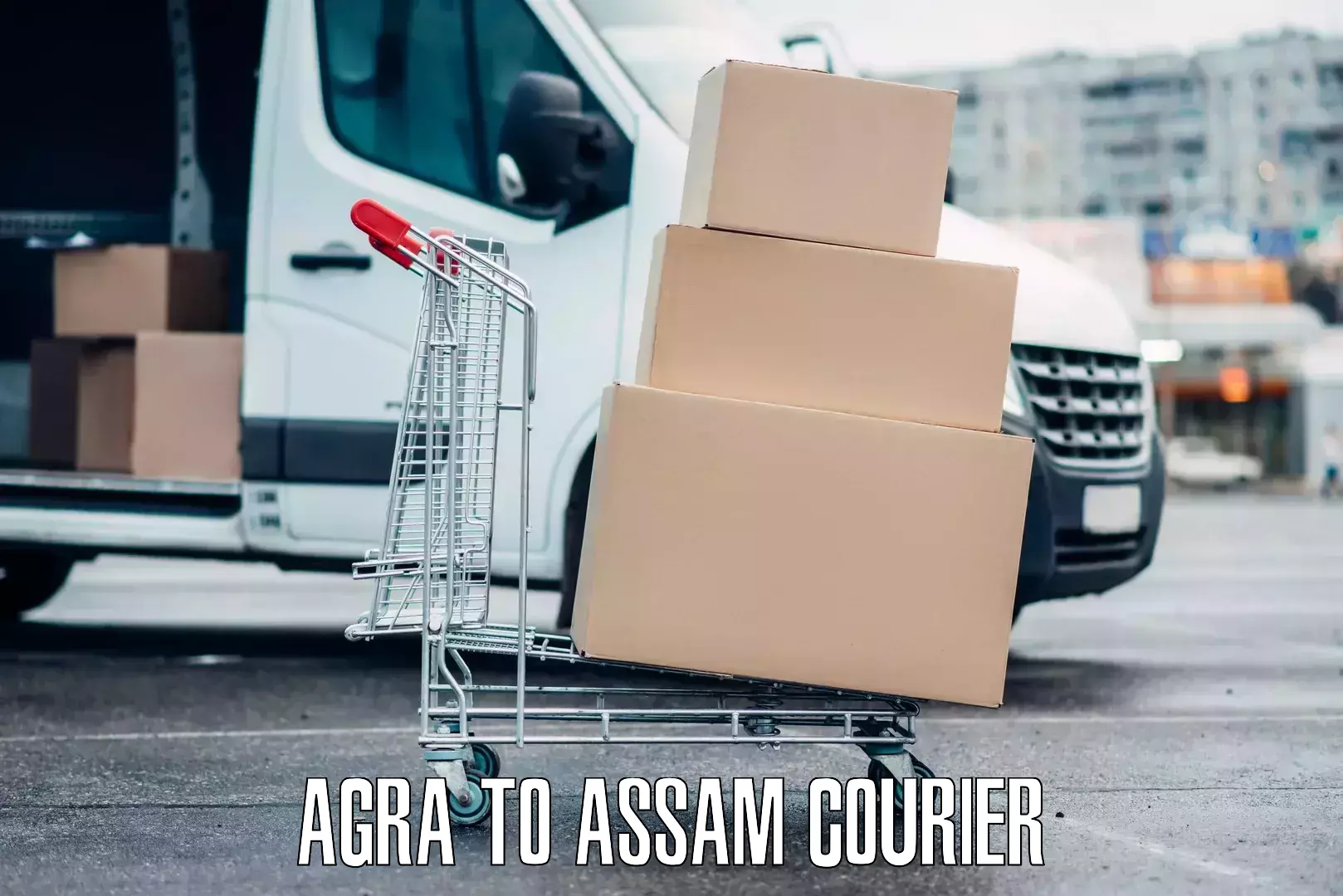 Citywide baggage courier Agra to Karimganj