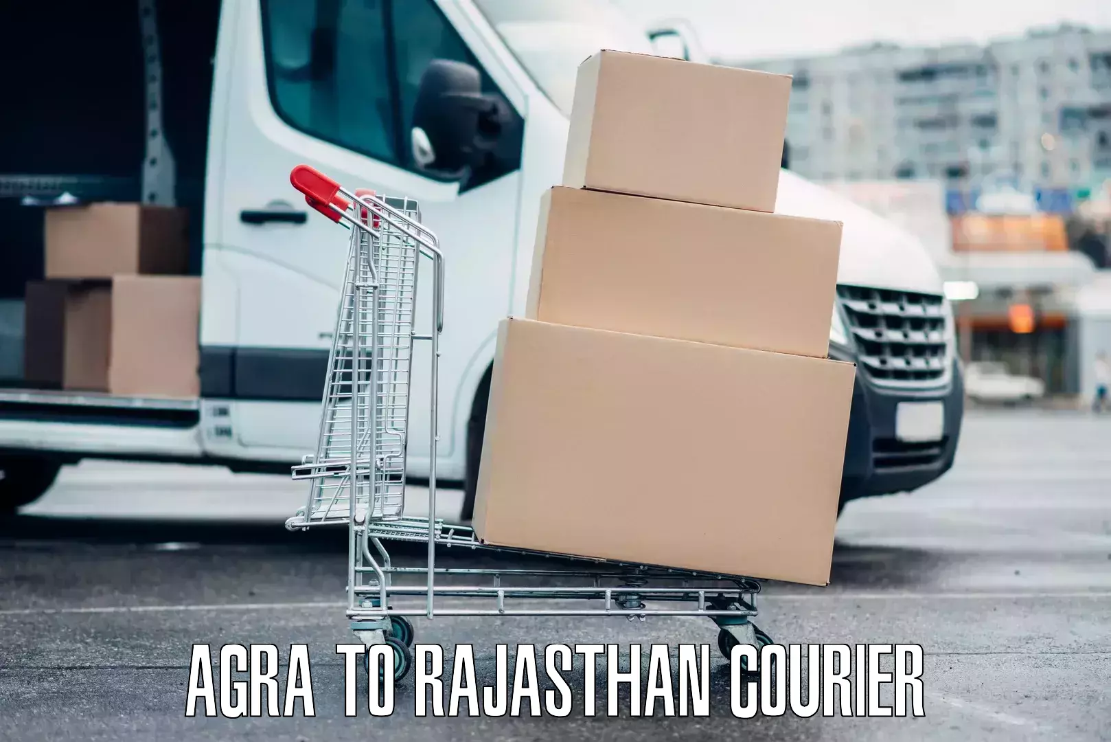 Affordable luggage courier Agra to Jalore