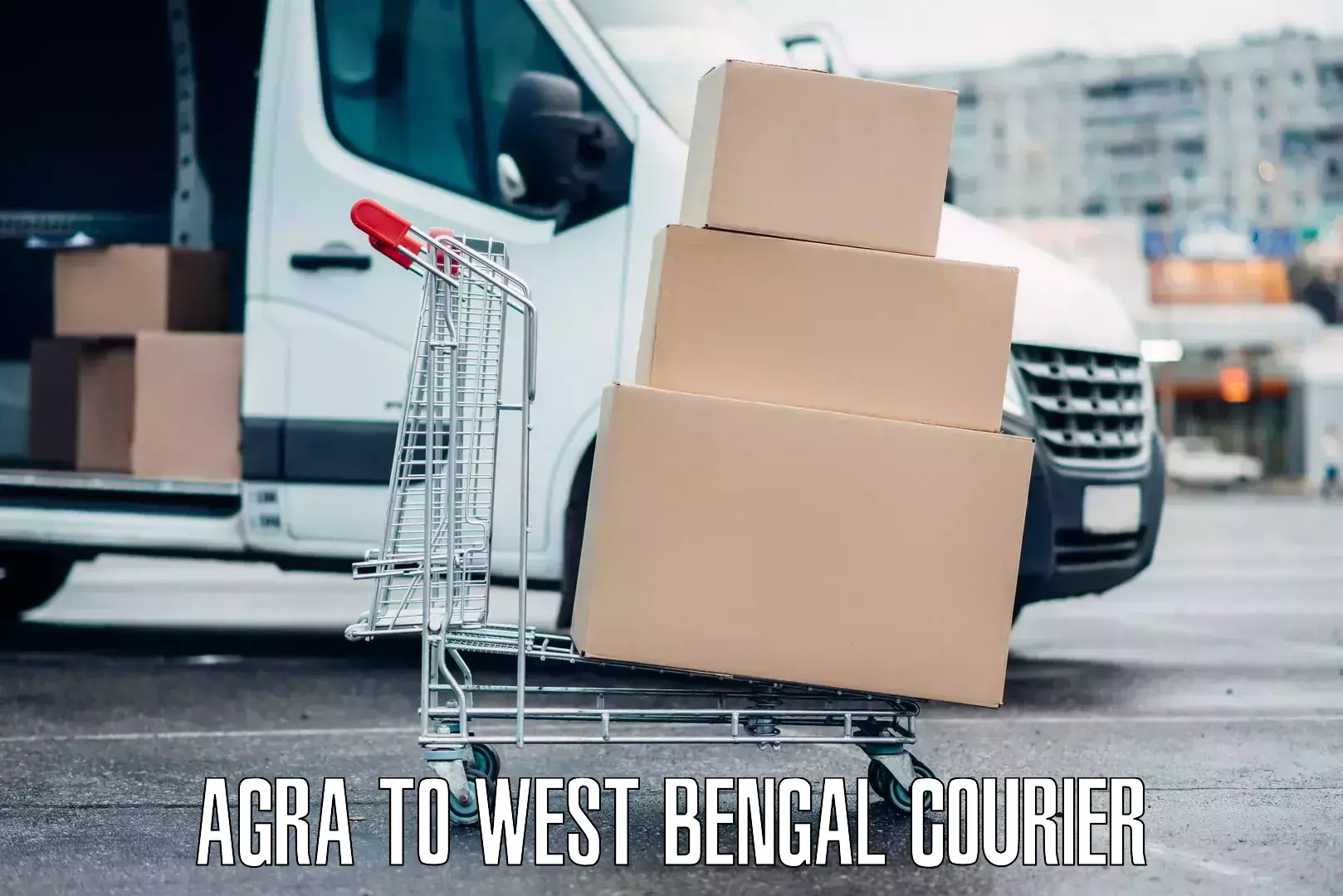 Baggage courier advice Agra to Naihati