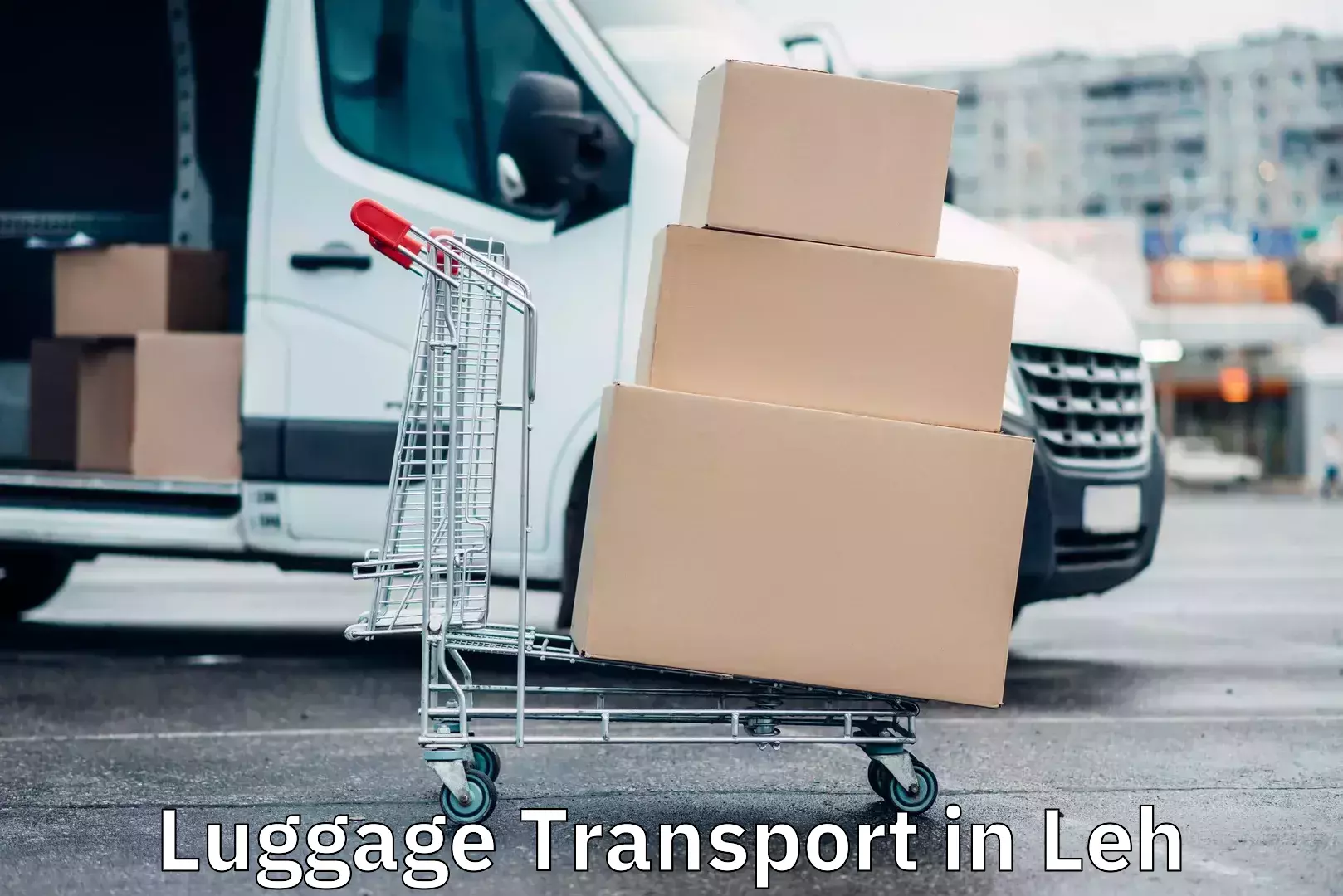 Festival baggage courier in Leh