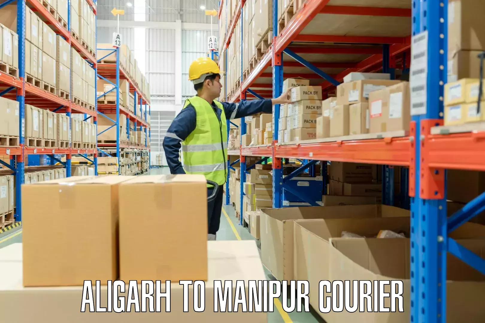 Luggage courier logistics Aligarh to Chandel