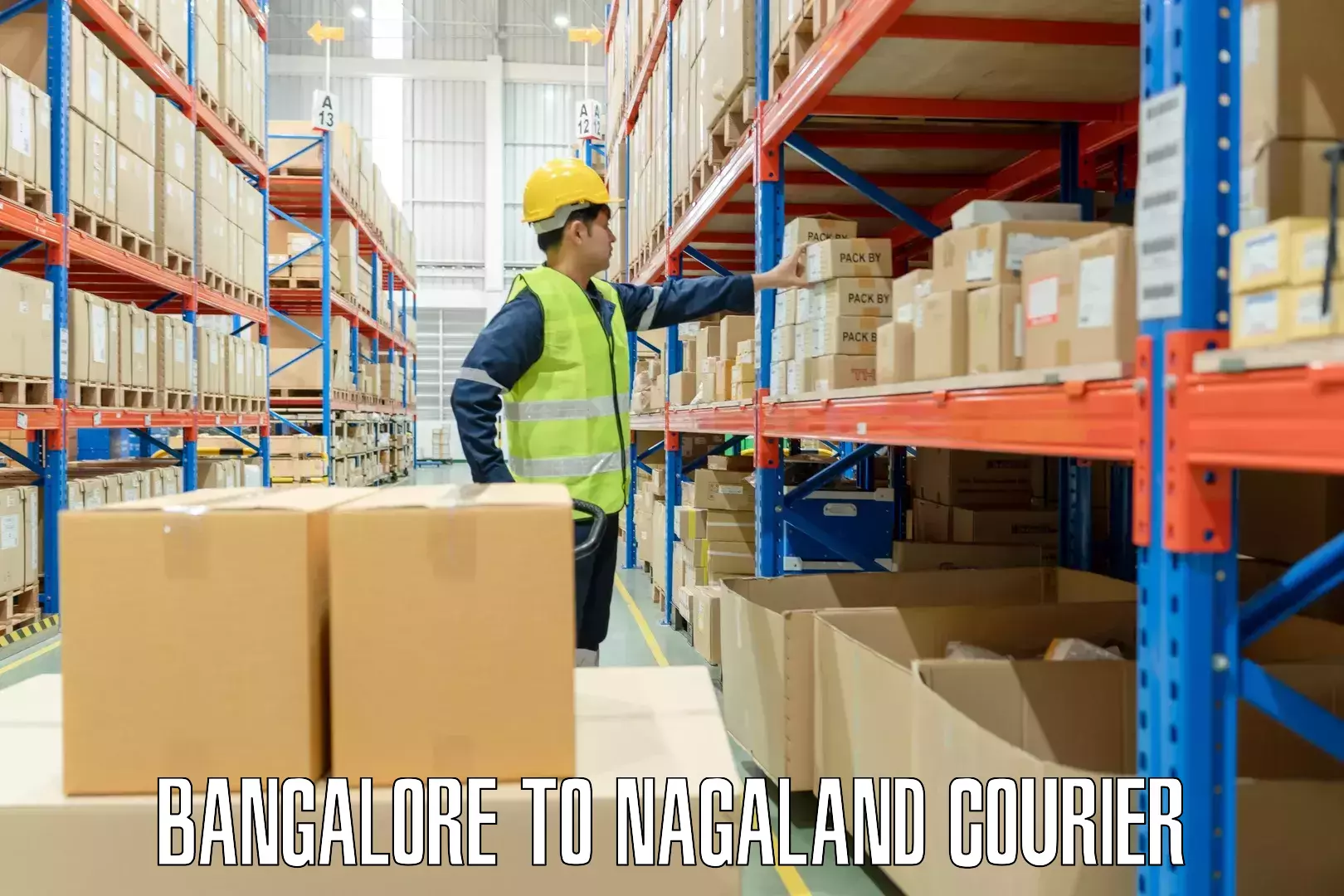 Versatile luggage courier Bangalore to Peren