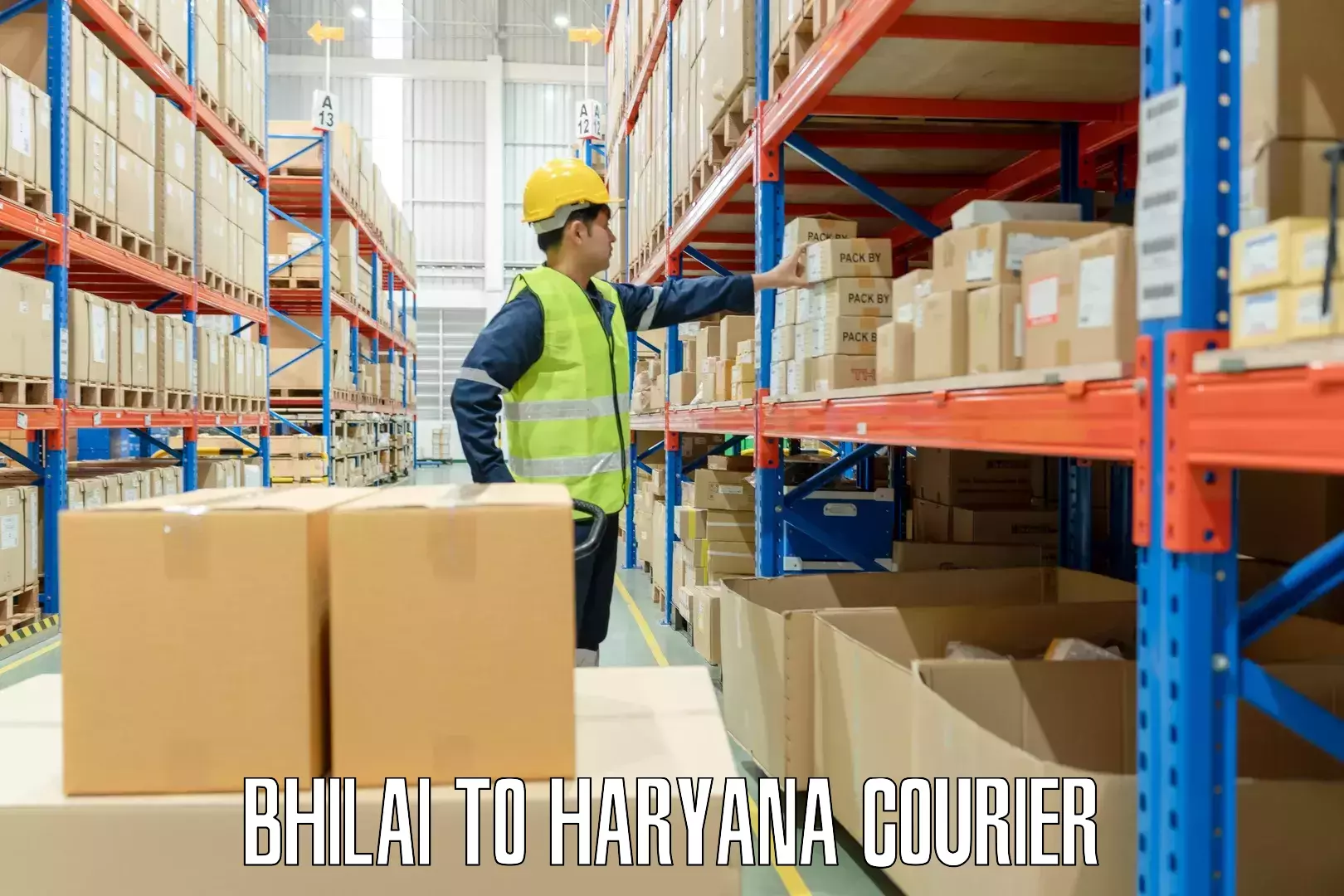 Express baggage shipping Bhilai to Haryana