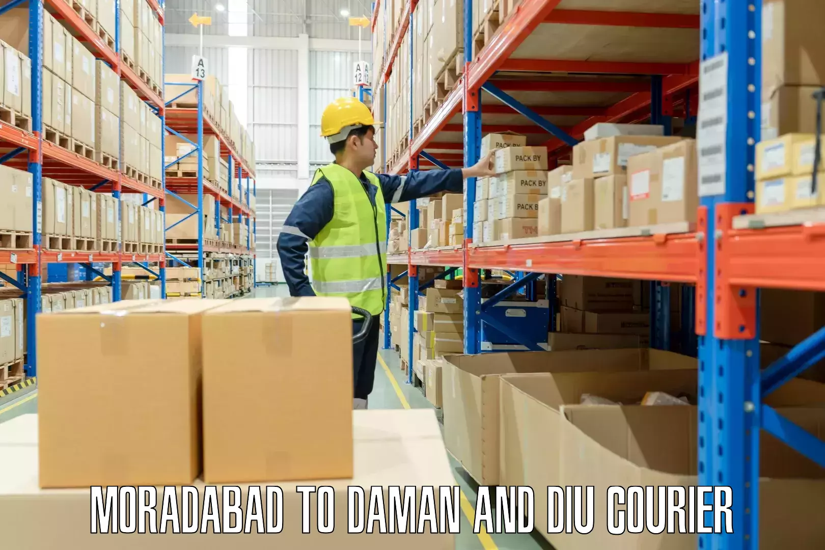Luggage courier logistics Moradabad to Daman and Diu