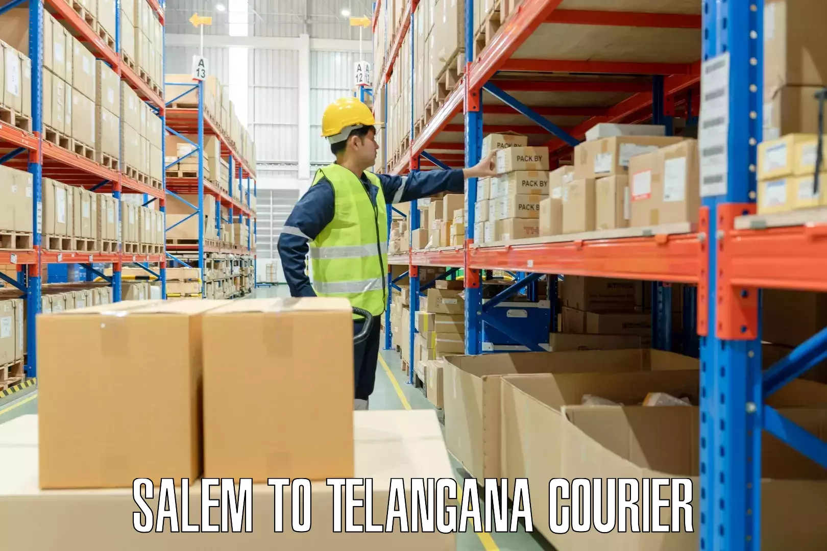 Emergency luggage shipping Salem to Telangana