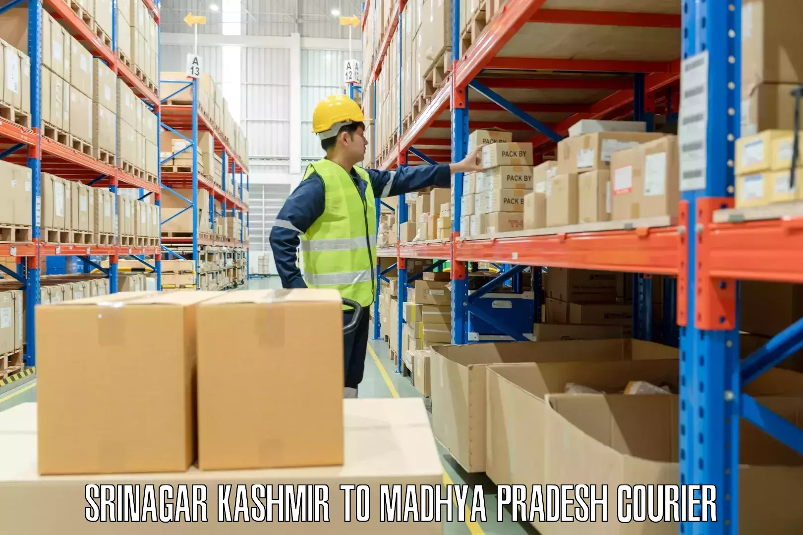 Luggage shipment specialists Srinagar Kashmir to Madhya Pradesh
