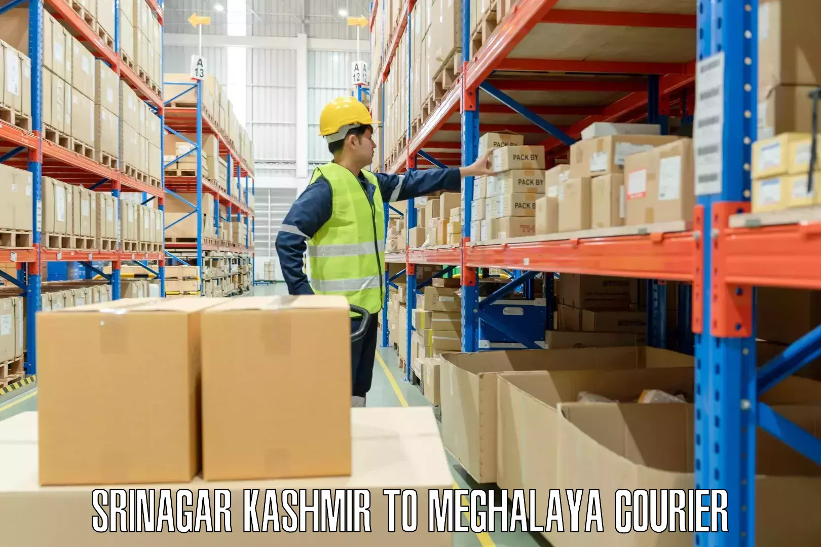 Baggage shipping logistics Srinagar Kashmir to Meghalaya