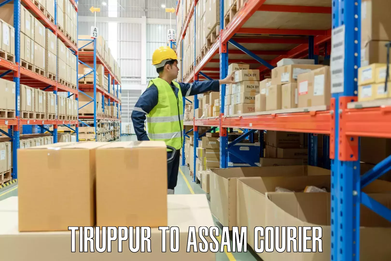 Baggage shipping advice Tiruppur to Assam