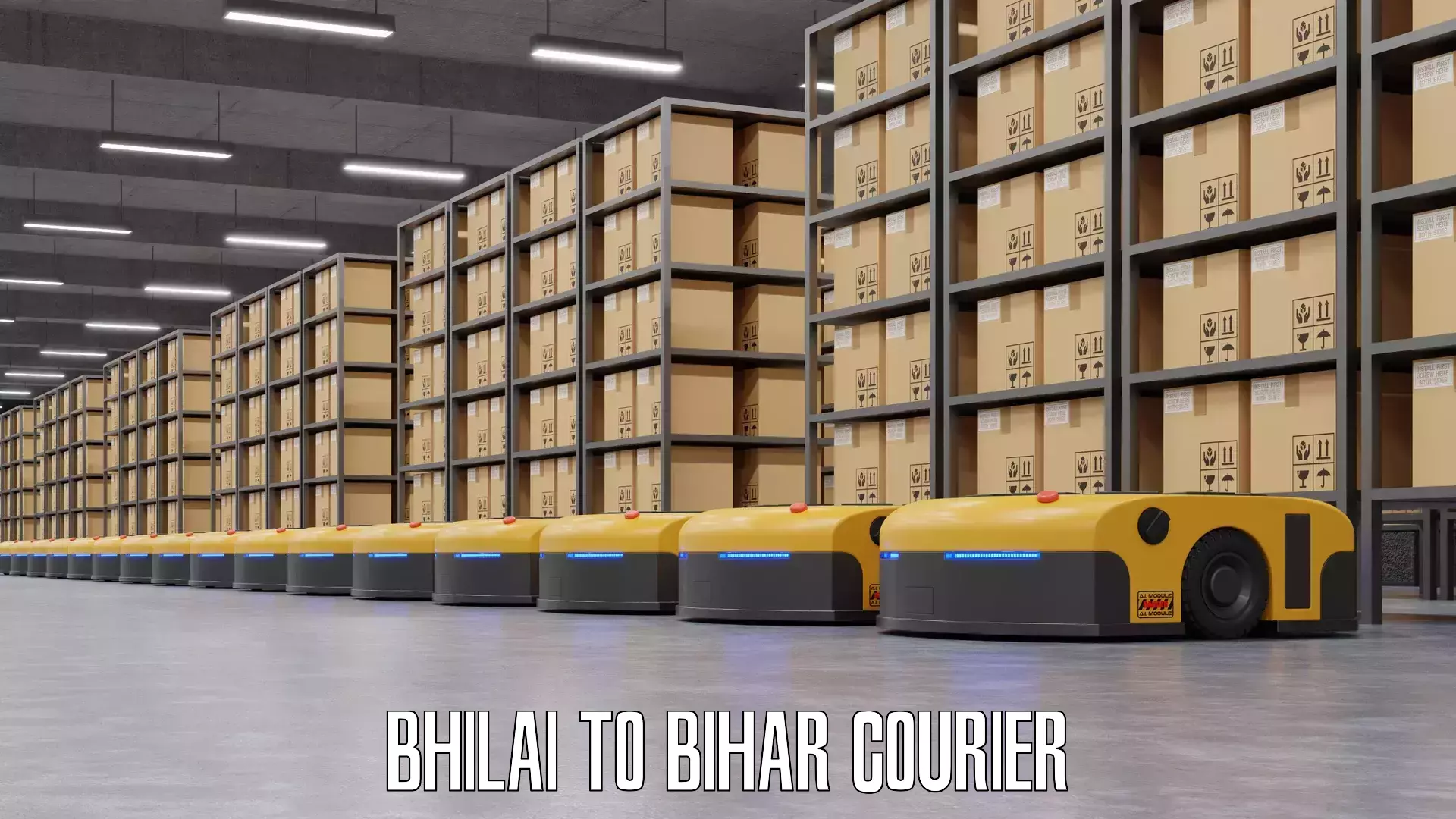 Luggage transport operations in Bhilai to Bihar