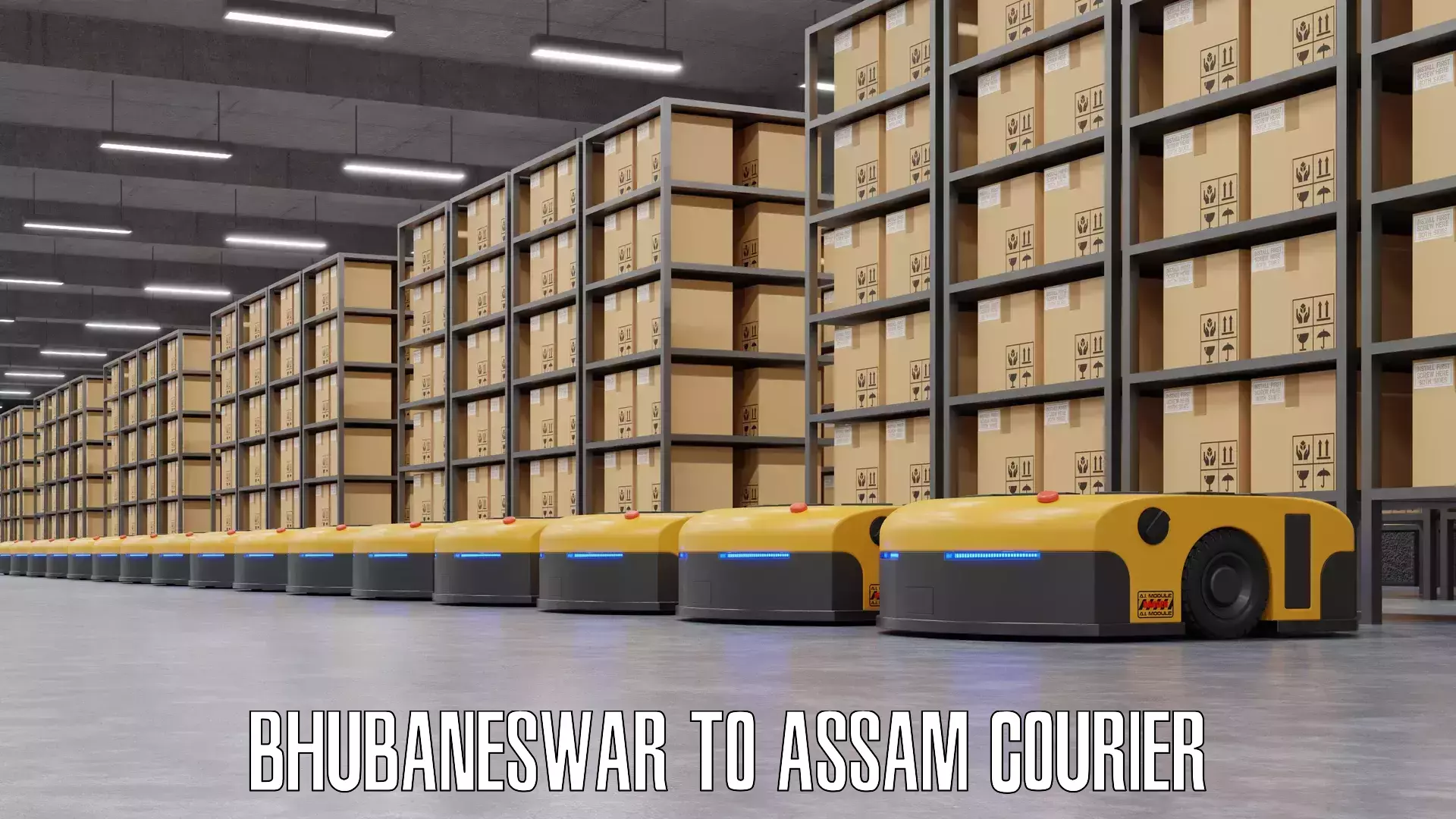 Digital baggage courier Bhubaneswar to Assam