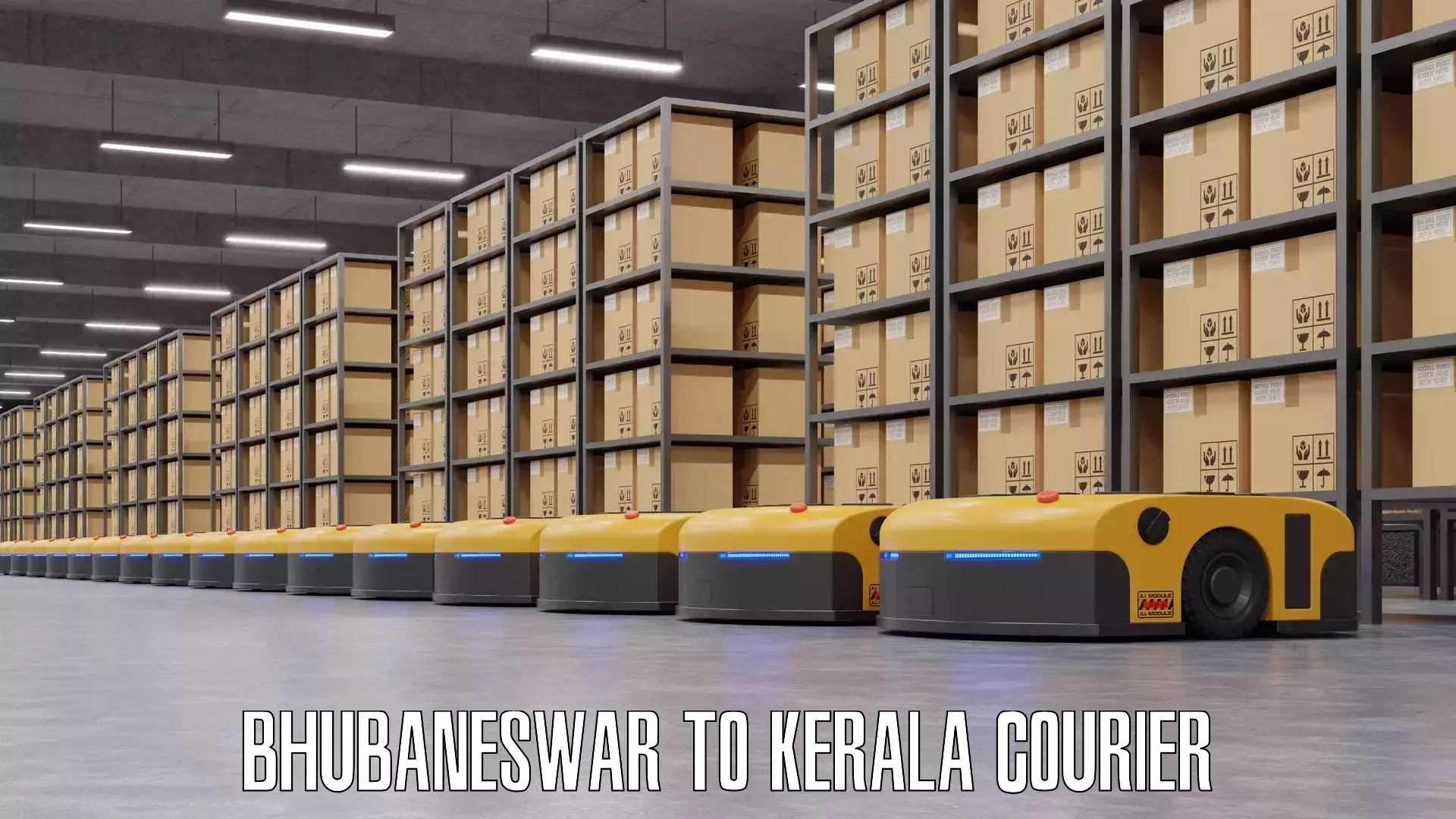 Group luggage shipping Bhubaneswar to Guruvayur