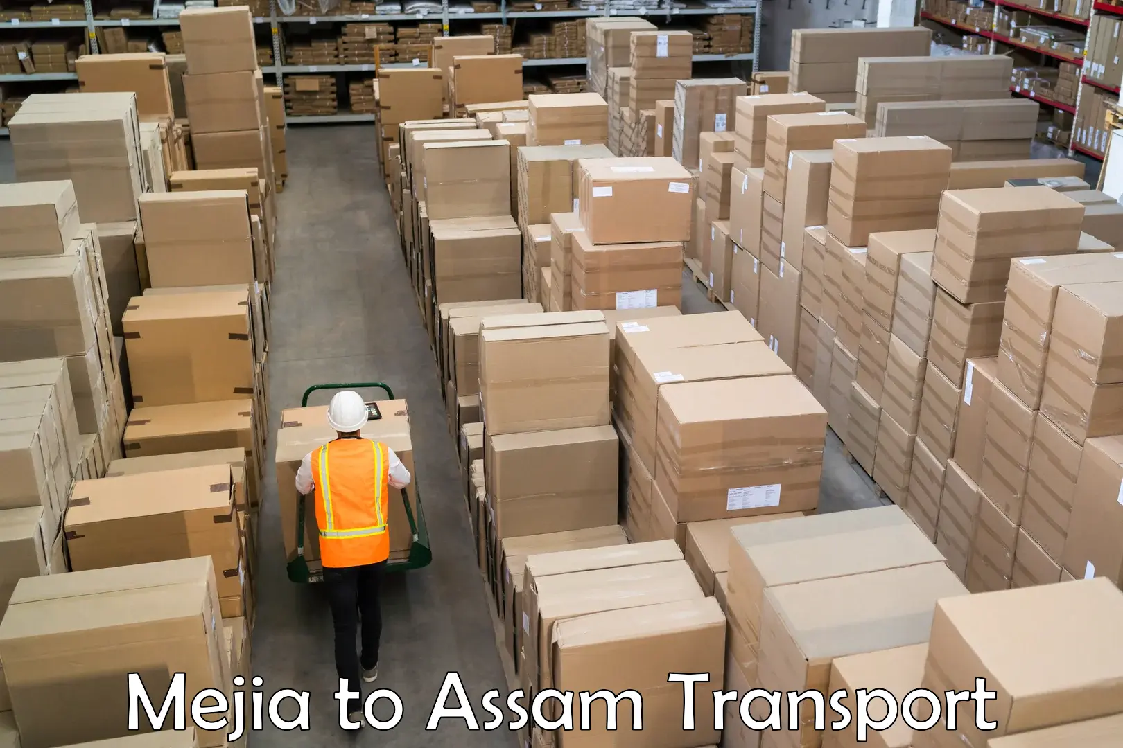Furniture transport service Mejia to Assam
